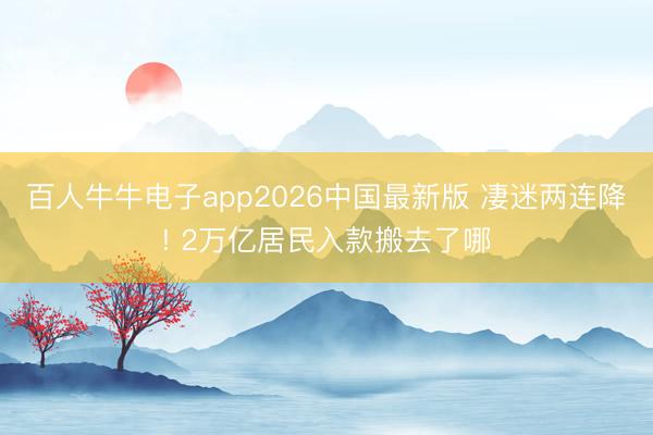 百人牛牛电子app2026中国最新版 凄迷两连降! 2万亿居民入款搬去了哪